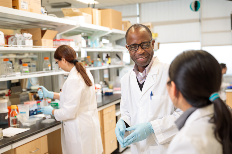 Office of Diversity, Equity and Inclusion at the School of Medicine